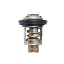 Termostato Honda Marine per BF75