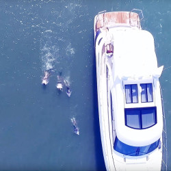 Sea scooter elettrico Yamaha Explorer subacqueo fino a 10 mt