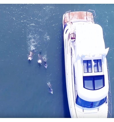 Sea scooter elettrico Yamaha Explorer subacqueo fino a 10 mt