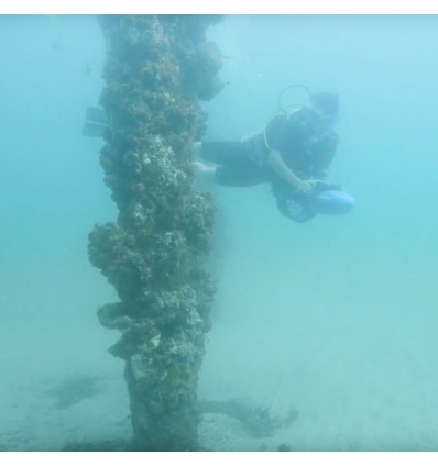 Sea scooter elettrico Yamaha RDS250 subacqueo fino a 30 mt