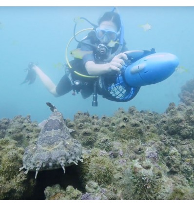 Sea scooter elettrico Yamaha RDS250 subacqueo fino a 30 mt