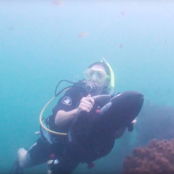 Sea scooter elettrico Yamaha RDS280 subacqueo fino a 30 mt