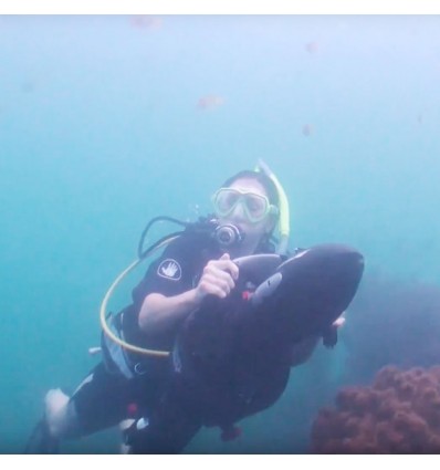 Sea scooter elettrico Yamaha RDS280 subacqueo fino a 30 mt