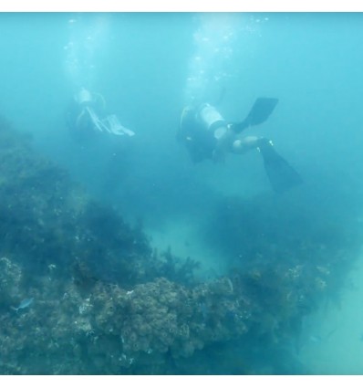 Sea scooter elettrico Yamaha RDS280 subacqueo fino a 30 mt