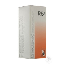 RECKEWEG R54 GOCCE 22 ML