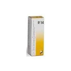 RECKEWEG R14 GOCCE 22 ML