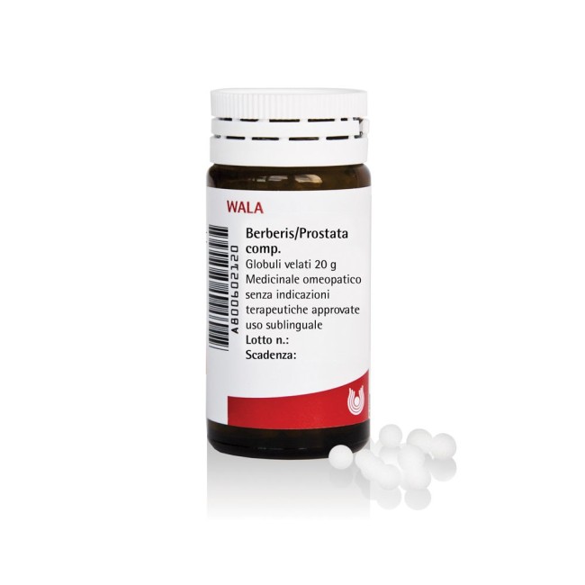 WALA BERBERIS PROSTATA COMPOSITUM GLOBULI 20 G WALA BERBERIS PROSTATA COMPOSITUM GLOBULI 20 G