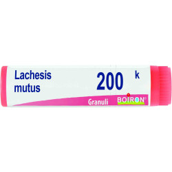 LACHESIS MUTUS MCH GLOBULI