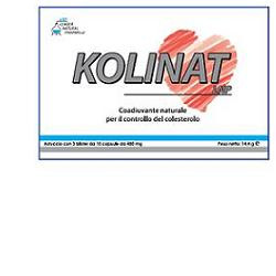 KOLINAT LNP 30 CAPSULE