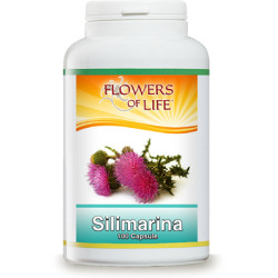 SILIMARINA 100 CAPSULE FLOWERS OF LIFE