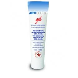 ARTICOLENE GEL 100 ML