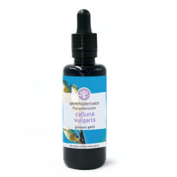 CALLUNA VULGARIS GIOVANI GETTI MACERATO GLICERICO 50ML