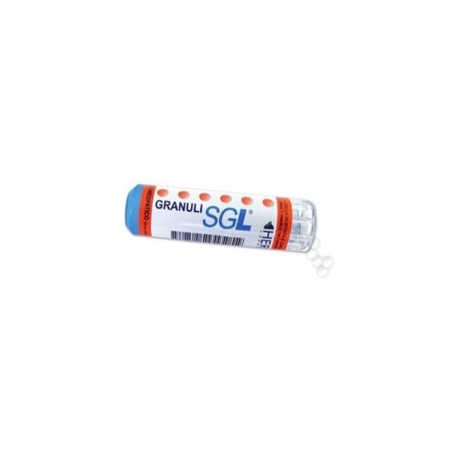 APIS MELLIFICA SGL 9CH 4 G APIS MELLIFICA SGL 9CH 4 G