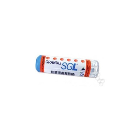 APIS MELLIFICA SGL 9CH 4 G