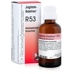 RECKEWEG R53 GOCCE 22 ML