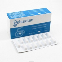 GELSECTAN 60 CAPSULE