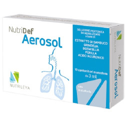NUTRIDEF AEROSOL 10 FIALE 3 ML
