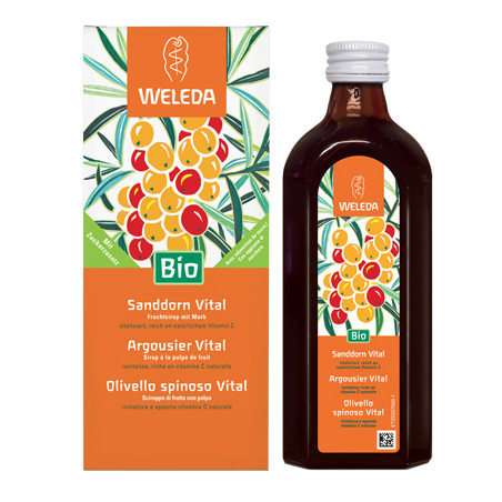 OLIVELLO SPINOSO VITAL SCIROPPO 250 ML OLIVELLO SPINOSO VITAL SCIROPPO 250 ML
