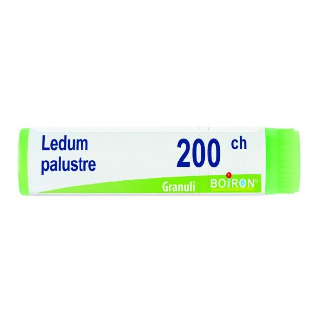 LEDUM PALUSTRE*200CH GL 1G LEDUM PALUSTRE*200CH GL 1G