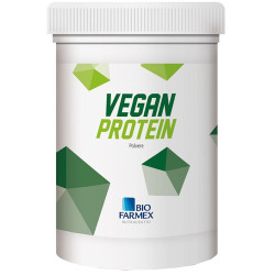 VEGAN PROTEIN 500 G