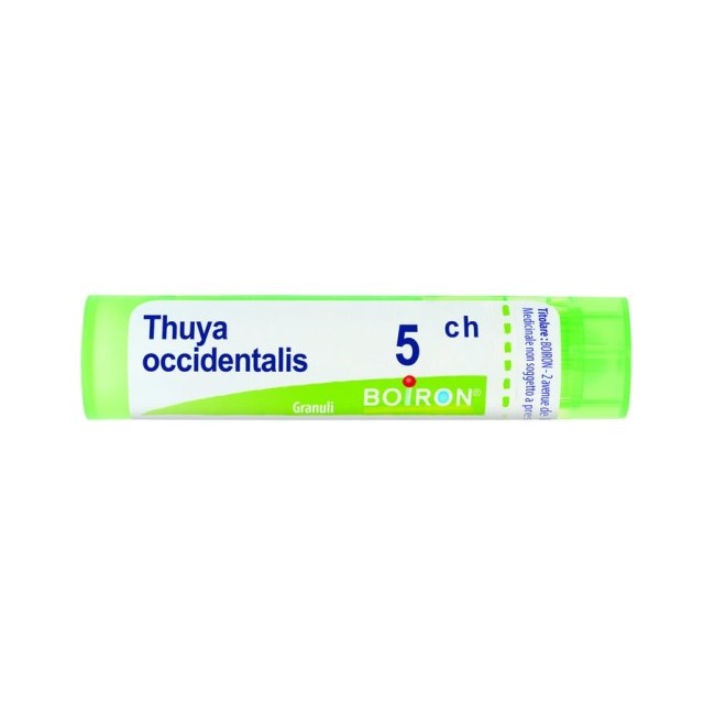 THUYA OCCIDENTALIS 5CH GRANULI THUYA OCCIDENTALIS 5CH GRANULI