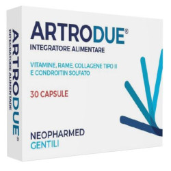 ARTRODUE 30 CAPSULE 0,2 G