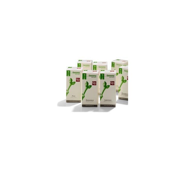 CISTO 50ML MG