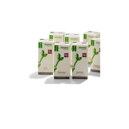 CISTO 50ML MG