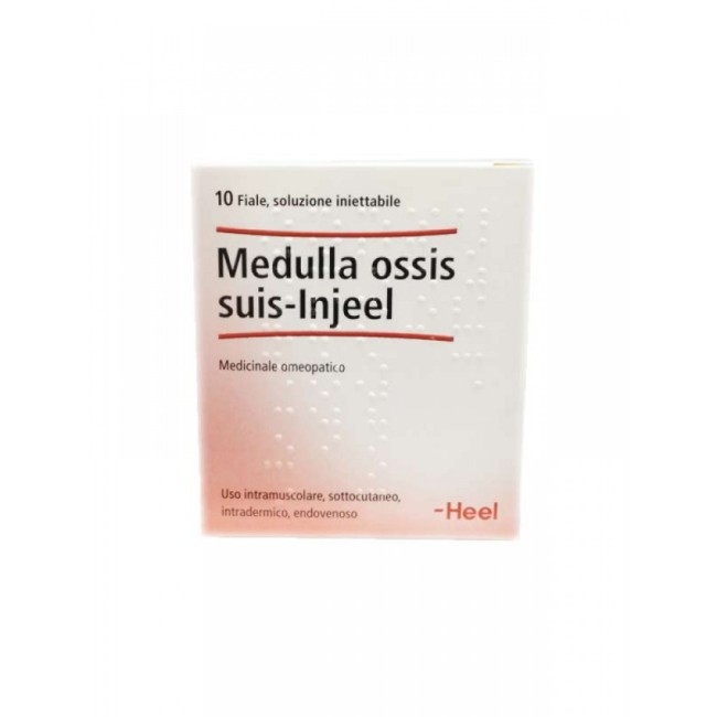 Heel Medulla Ossis Suis Injeel 10 Flaconi Heel Medulla Ossis Suis Injeel 10 Flaconi