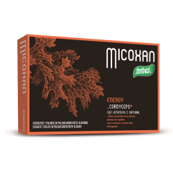 MICOXAN ENERGY 40 CAPSULE