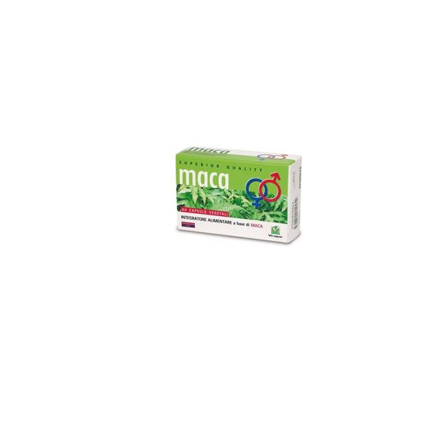 MACA 60 CAPSULE MACA 60 CAPSULE