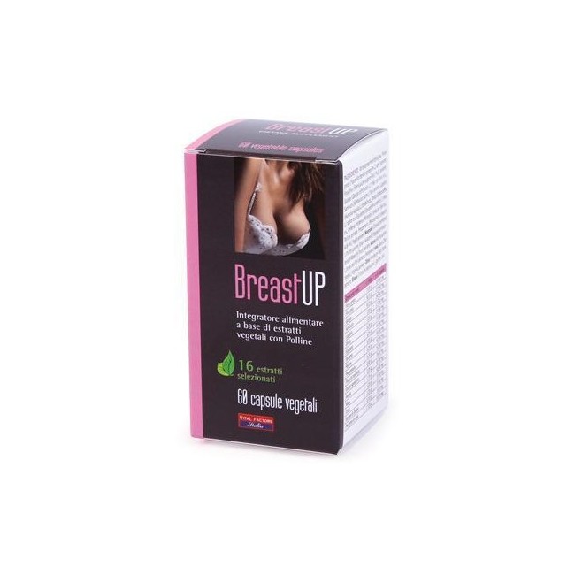 BREAST UP 60 CAPSULE BREAST UP 60 CAPSULE
