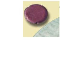 MINI SACCA PER UROSTOMIA ALTERNA MIO URO CON MULTICHAMBER URO MINICAP MISURA FORO 40MM CAPACITA' 100ML 30 PEZZI ARTICOLO 28070