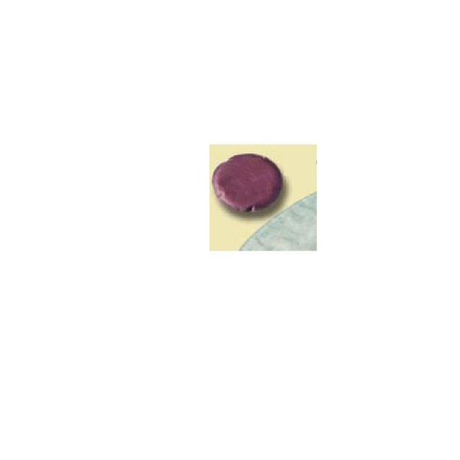 MINI SACCA PER UROSTOMIA ALTERNA MIO URO CON MULTICHAMBER URO MINICAP MISURA FORO 40MM CAPACITA' 100ML 30 PEZZI ARTICOLO 28070 MINI SACCA PER UROSTOMIA ALTERNA MIO URO CON MULTICHAMBER URO MINICAP MISURA FORO 40MM CAPACITA' 100ML 30 PEZZI ARTICOLO 28070