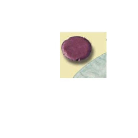 MINI SACCA PER UROSTOMIA ALTERNA MIO URO CON MULTICHAMBER URO MINICAP MISURA FORO 40MM CAPACITA' 100ML 30 PEZZI ARTICOLO 28070