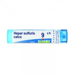 HEPAR SULFUR BOI*9CH 80GR HEPAR SULFUR BOI*9CH 80GR