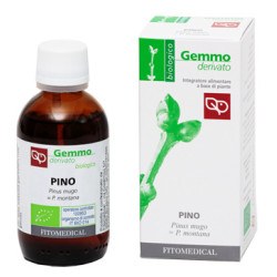 PINO MACERATO GLICERINATO BIO 50 ML