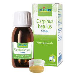 CARPINUS BETULUS MACERATO GLICERICO 60 ML INT