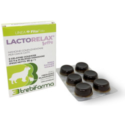 LACTORELAX JELLY 6 JELLY