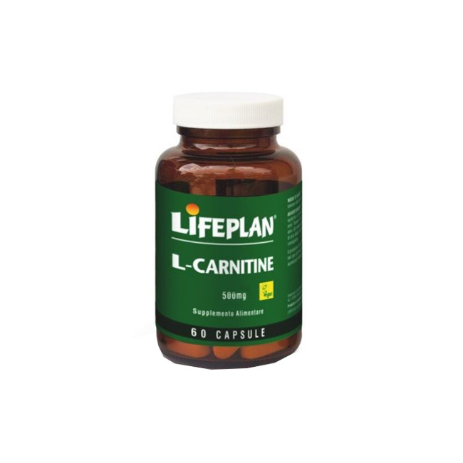 L-CARNITINE 500MG 60 CAPSULE L-CARNITINE 500MG 60 CAPSULE