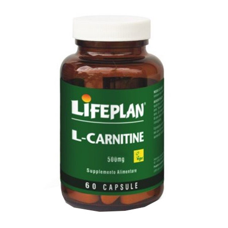 L-CARNITINE 500MG 60 CAPSULE L-CARNITINE 500MG 60 CAPSULE