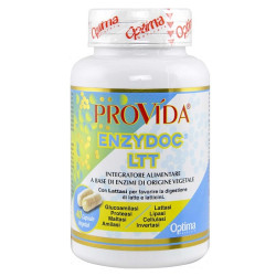 PROVIDA LACTO SUPPORT 40 CAPSULE 360 MG