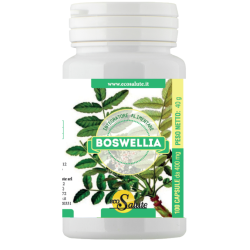BOSWELLIA 100 CAPSULE