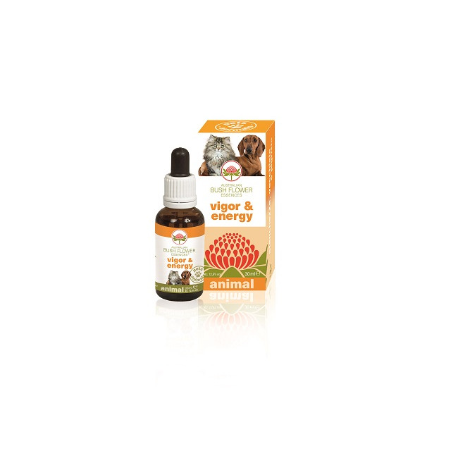 VIGOR & ENERGY 30 ML VIGOR & ENERGY 30 ML