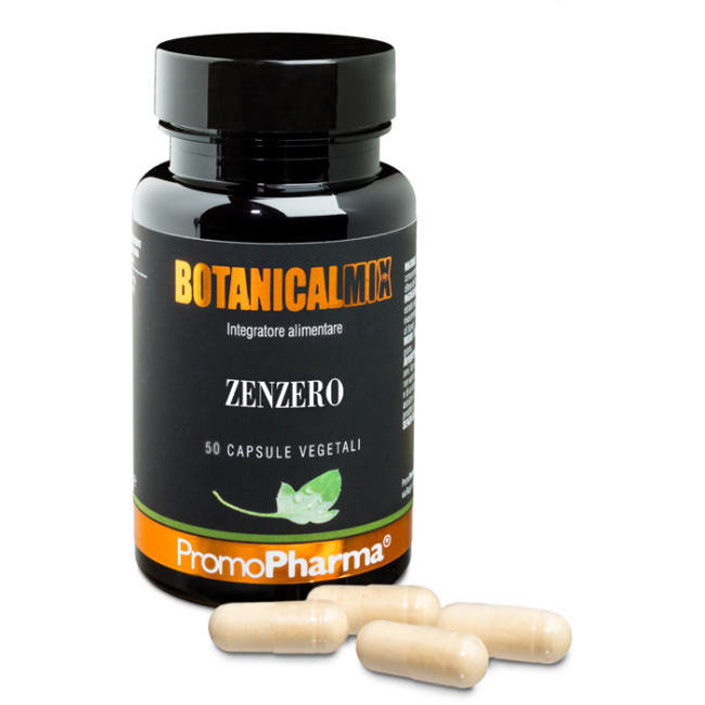 ZENZERO BOTANICAL MIX 50 CAPSULE ZENZERO BOTANICAL MIX 50 CAPSULE