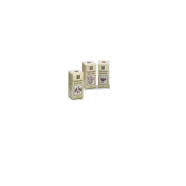 NEPETA CATARIA ESTRATTO ANALCOLICO 50 ML NEPETA CATARIA ESTRATTO ANALCOLICO 50 ML
