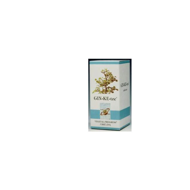 GINKETZE BIO 80 TAVOLETTE 600 MG GINKETZE BIO 80 TAVOLETTE 600 MG