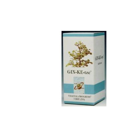 GINKETZE BIO 80 TAVOLETTE 600 MG