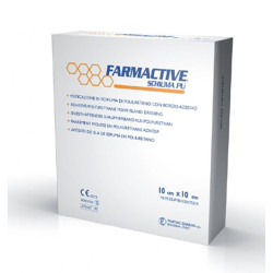 CEROTTO FARMACTIVE SCHIUMA IN POLIURETANO 10X10CM 10 PEZZI