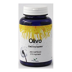 OLIVO 60 CAPSULE